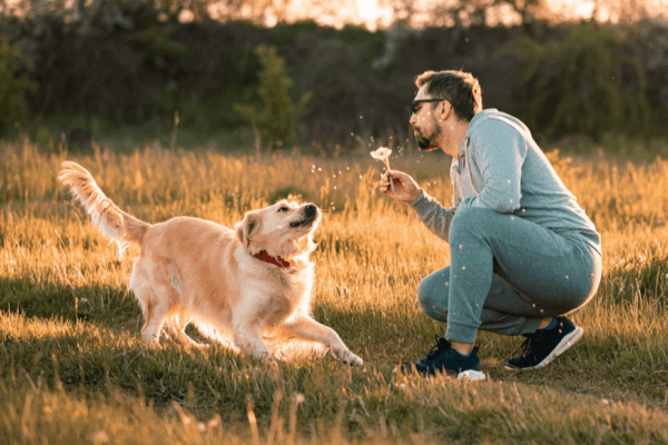 dlaczego nie powinnismy dmuchac psu w pysk