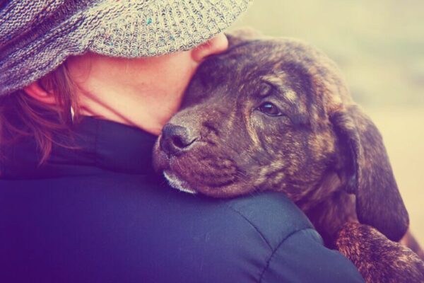 pies chciałby ci powiedzieć