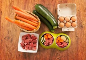 Chcesz gotować swojemu psu? Obalamy mity o żywieniu domowym