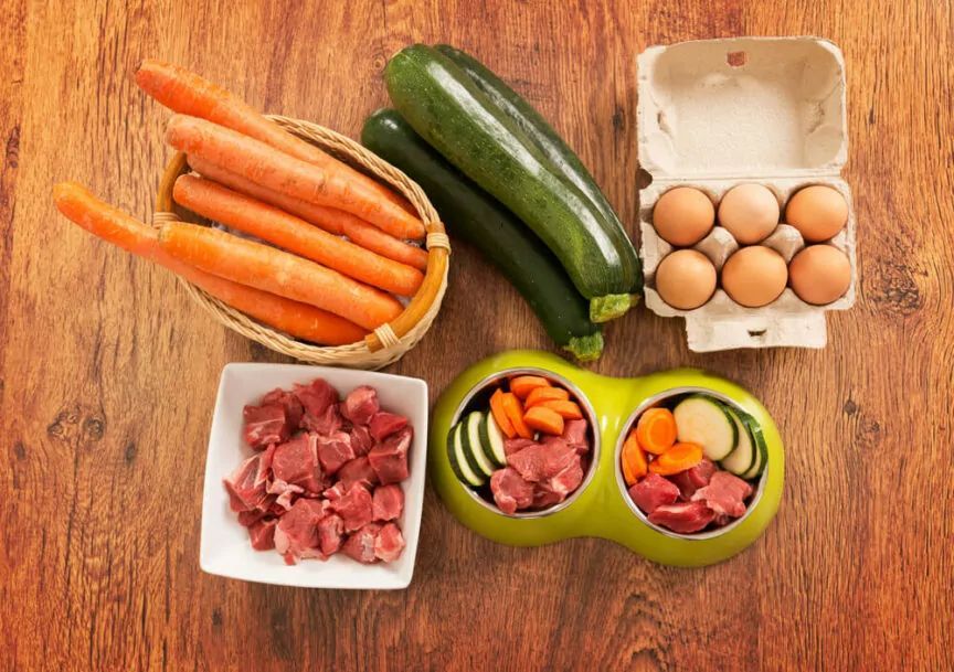 Chcesz gotować swojemu psu? Obalamy mity o żywieniu domowym