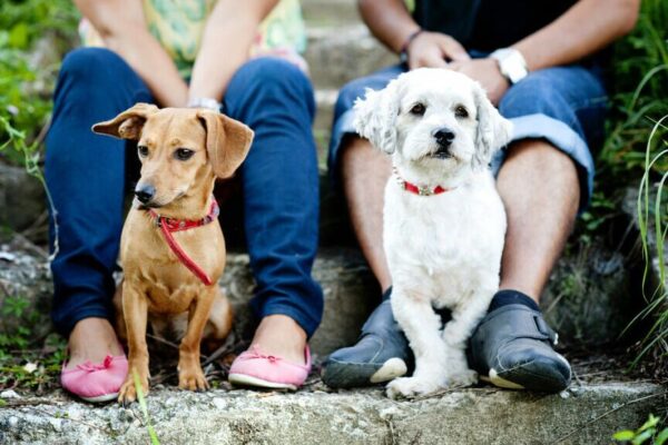 jak być dobrym sąsiadem