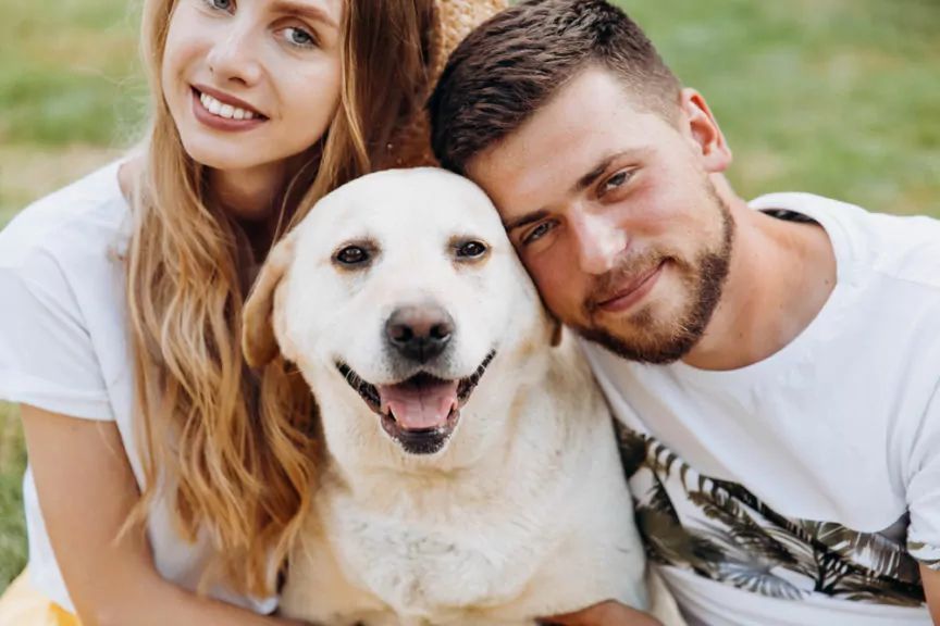 jakie psy adoptują