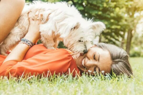 zostać opiekunem psa