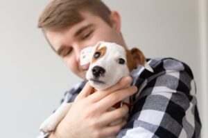 jak Polacy traktują zwierzęta
