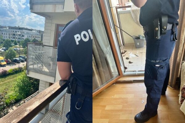 pies husky przetrzymywany na balkonie