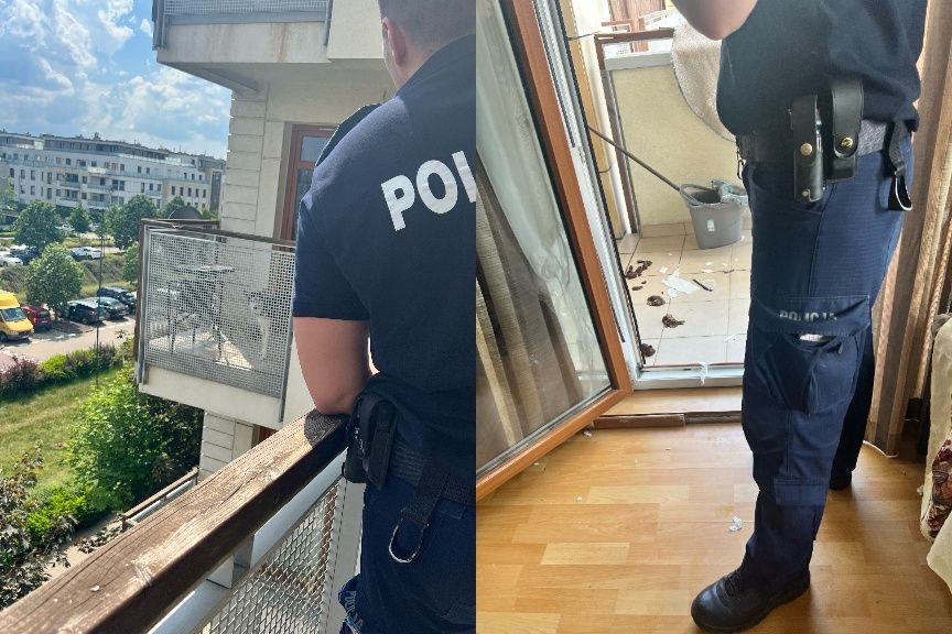 pies husky przetrzymywany na balkonie