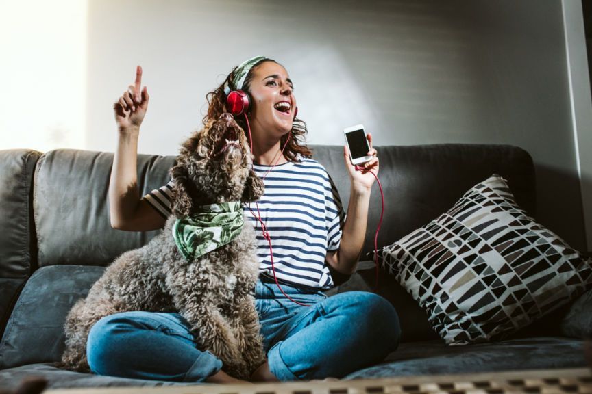 spotify dla psa