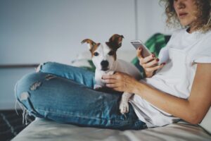 pies zazdrosny o smartfona