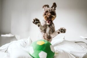 bawić się w domu czy nie