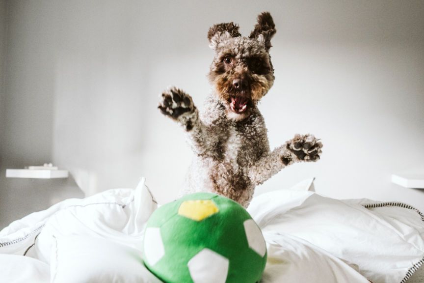 bawić się w domu czy nie