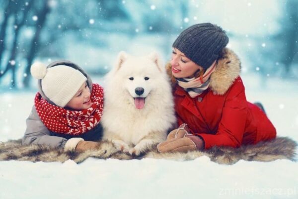 modowy poradnik dla psiarza