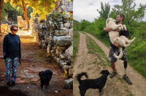 podróż z psem kampervanem