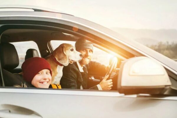 jak podróżować z psem