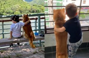 przyjaźń z tej ziemi Chiko i Leo