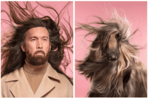 psy upodabniają się do opiekunów