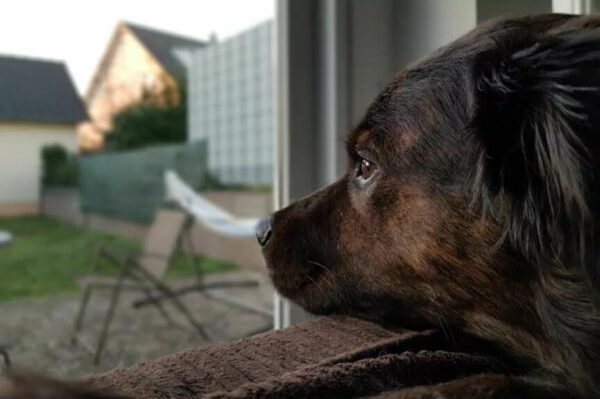 w okresie zagrożenia koronawirusem