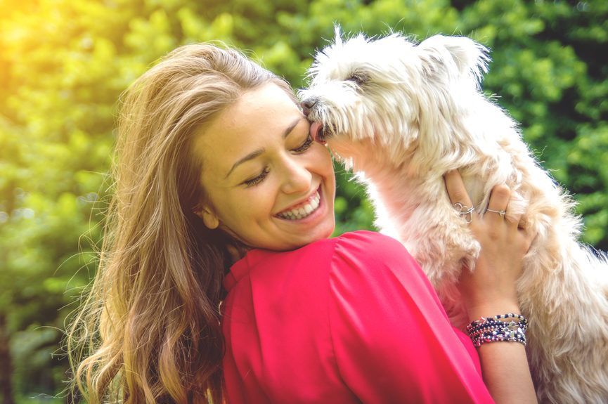 10 przykazań opiekuna psa