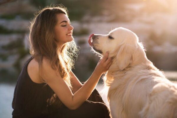 co powiedziałby nam pies, gdyby potrafił mówić