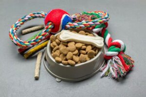 Zanim w domu pojawi się pies, wyprawka dla psa