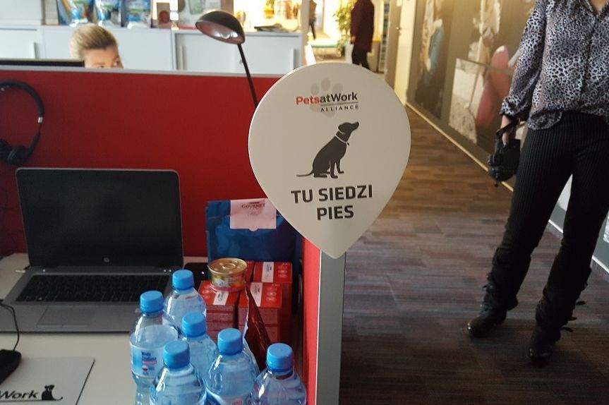 Pets at Work