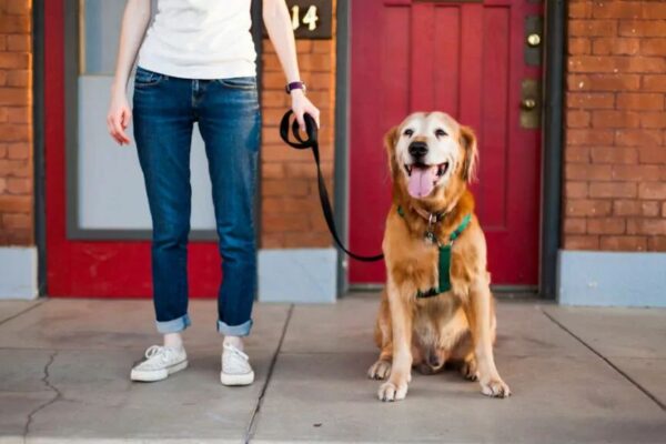 szelki powodują ciągnięcie