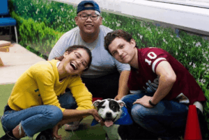 tom holland i zendaya adoptowali psa