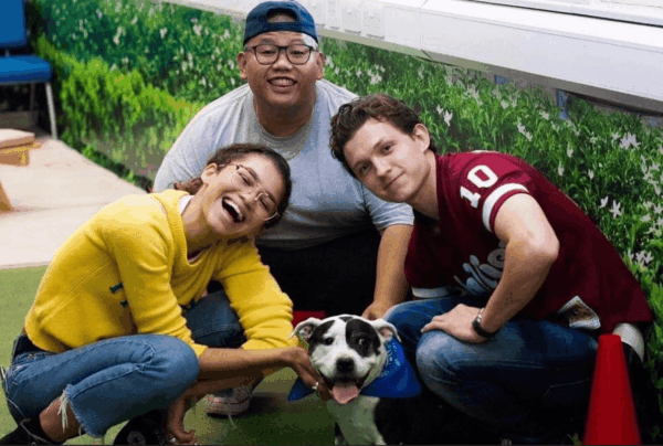 tom holland i zendaya adoptowali psa