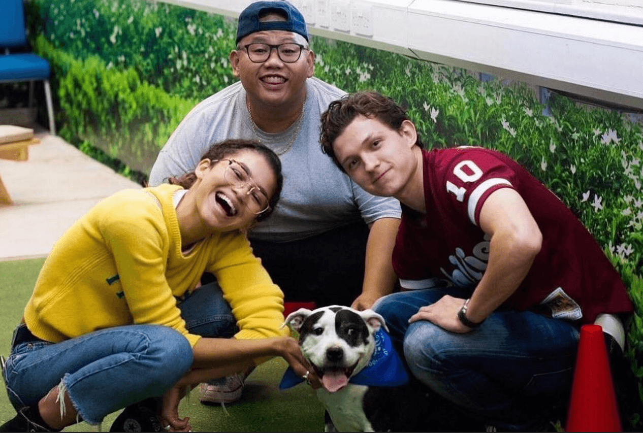 tom holland i zendaya adoptowali psa