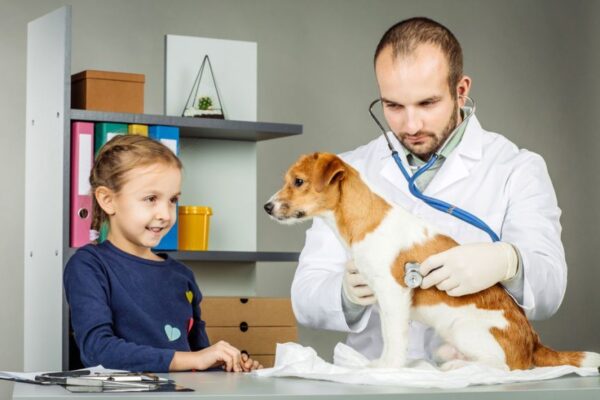 W kolejce u weterynarza