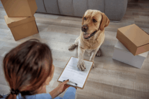umowa adopcyjna psa co musi zawierac