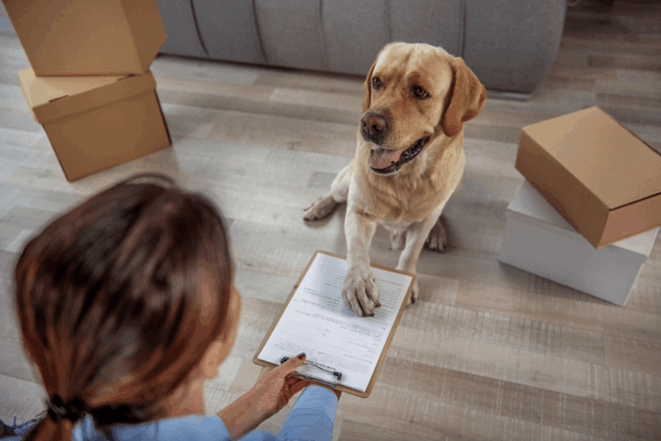 umowa adopcyjna psa co musi zawierac