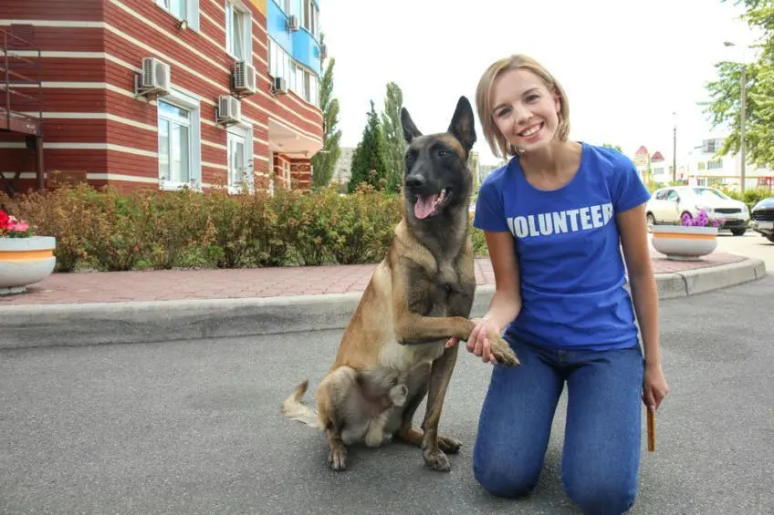 wolontariuszka z psem