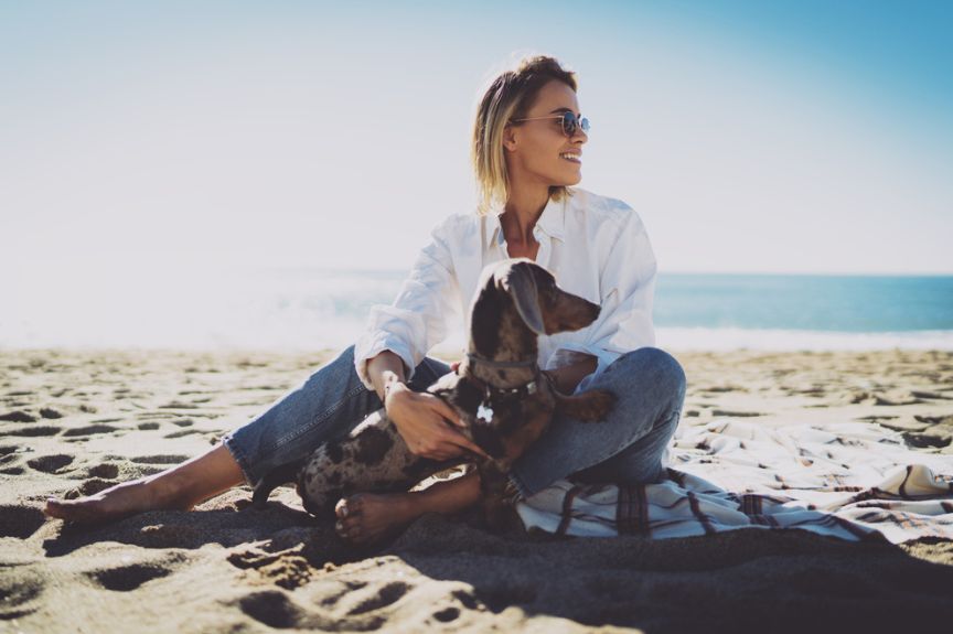 Z psem na plaży – czy można go zabrać?
