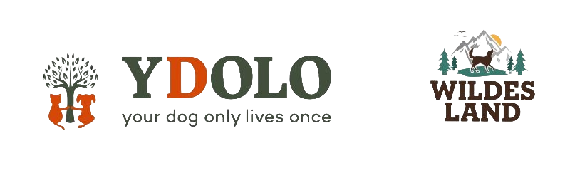 Ydolo i wildes land logo