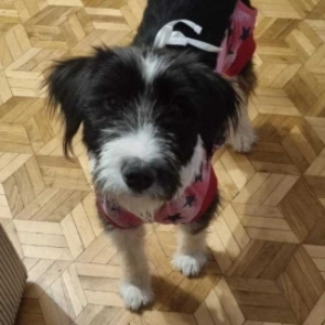 Bella