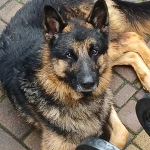 Kairo