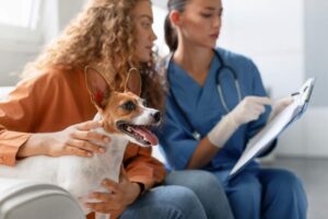 Jak bagatelizowanie zaleceń może zagrażać twojemu psu