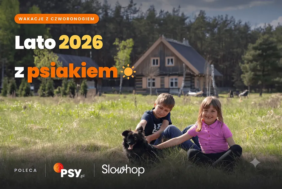 gdzie na wakacje z psem