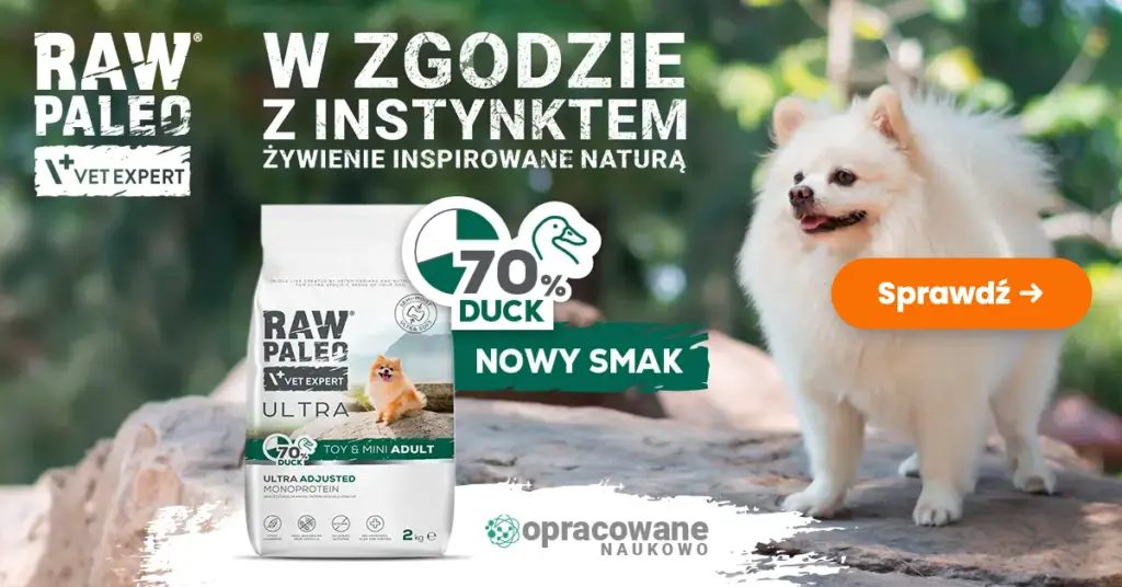 Raw Paleo Ultra Duck Toy&Mini – półwilgotna karma z kaczką dla małych psów