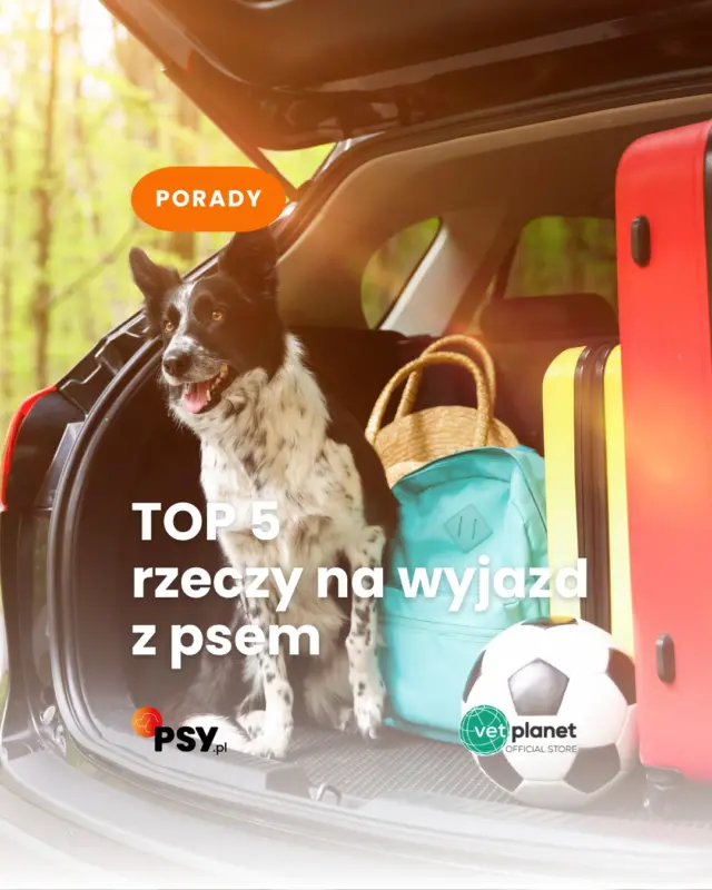 Pakujesz psa na wyjazd? 🐶 Oto 5 rzeczy, które warto mieć pod ręką, żeby podróż była spokojniejsza, bezpieczniejsza i mniej stresująca — dla ciebie i dla pupila.Zapisz przed wakacjami!