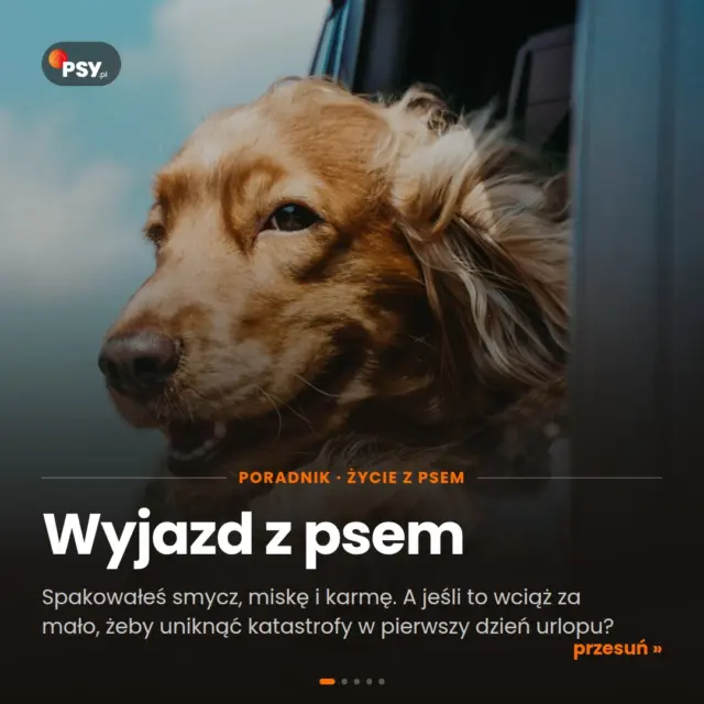 Wpis na Instagramie – 17936434443269512