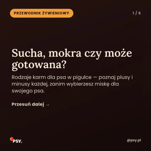 Sucha, mokra, a może mieszana? 🐶🥣
Wybór karmy dla psa nie zawsze jest prosty.
Wyjaśniamy, czym różnią się poszczególne rodzaje karm i na co zwrócić uwagę, aby dopasować dietę do potrzeb swojego pupila 🦴🧡
Przesuń i sprawdź nasze wskazówki! 👉🏻
Link do całego artykułu znajdziesz w naszym bio 🔗