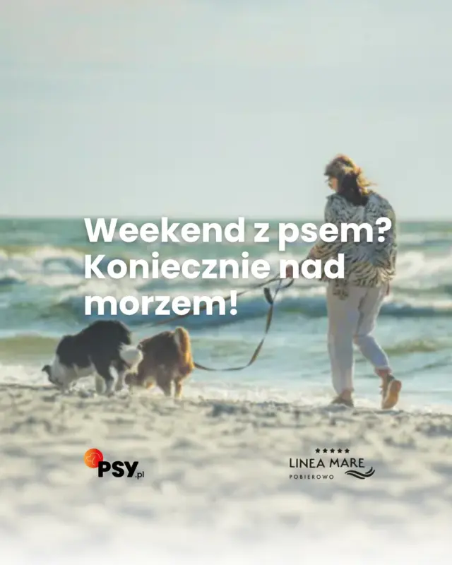Urlop nad morzem w pełnym składzie? 🐶🌊W Linea Mare psiaki są naprawdę mile widziane - czekają na nie miski, legowisko, zestaw powitalny, a nawet Psi Concierge, czyli możliwość wyprowadzenia psa podczas Waszego pobytu 🐾Bo najlepszy urlop to ten, na który jedzie cała rodzina 🤎