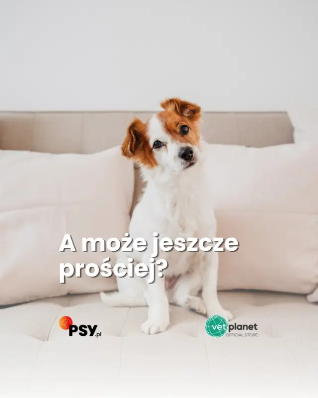 Kilka chwil i gotowe💧
Atosis Spot-On pozwala zadbać o skórę bez kąpieli i bez spłukiwania, dlatego łatwo włączyć go do regularnej pielęgnacji.Szampon, mousse czy spot-on? Każdy może działać jako osobny element pielęgnacji. A jeśli chcesz wrócić do początku i zobaczyć, od czego można zacząć - zajrzyj do filmu o Atosis Shampoo 🔄