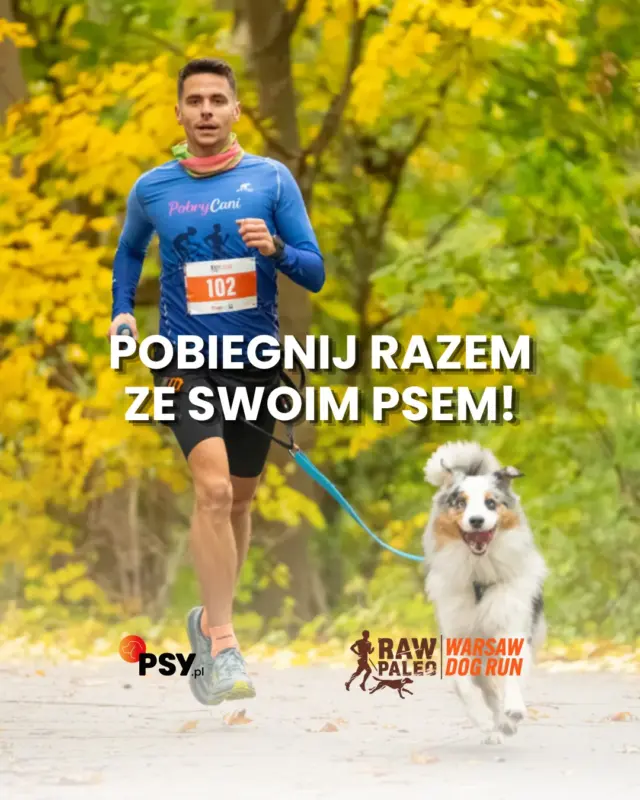 Gotowi na wspólny start? 🐕🏃‍♀️💨17 października Warszawa pobiegnie na cztery łapy i dwie nogi! RAW PALEO Warsaw Dog Run to ruch, dobra zabawa i przede wszystkim czas spędzony razem 🐾Wybierzcie swoją trasę i… widzimy się na starcie!
👉 Szczegóły i zapisy: dogrun.com.pl