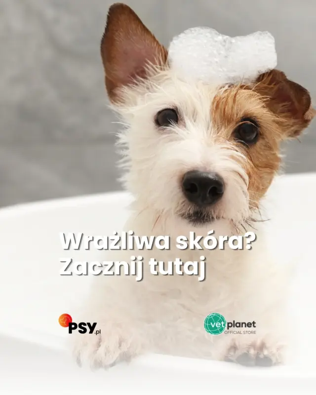 Kąpiel to jeden ze sposobów na wsparcie skóry wymagającej szczególnej troski 🐶🫧 Atosis Shampoo może być stosowany samodzielnie, ale pielęgnacja nie musi kończyć się po spłukaniu szamponu.A co między kąpielami? 👀 W kolejnym filmie pokażemy Atosis Mousse.