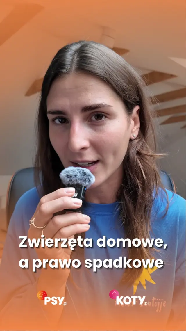 Co stanie się z Twoim psem lub kotem, gdy Ciebie zabraknie? 🐶💔
To trudny temat, ale warto o nim pomyśleć wcześniej. Sprawdź, co mówi polskie prawo i jak możesz zabezpieczyć przyszłość swojego pupila.